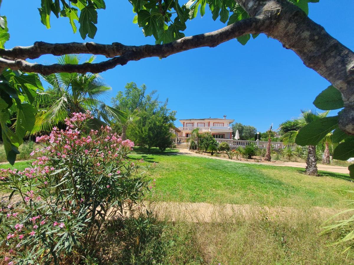 Villa Velo Marratxí Екстериор снимка