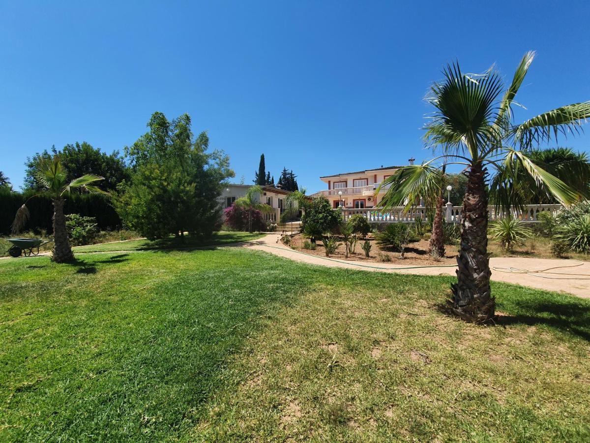 Villa Velo Marratxí Екстериор снимка